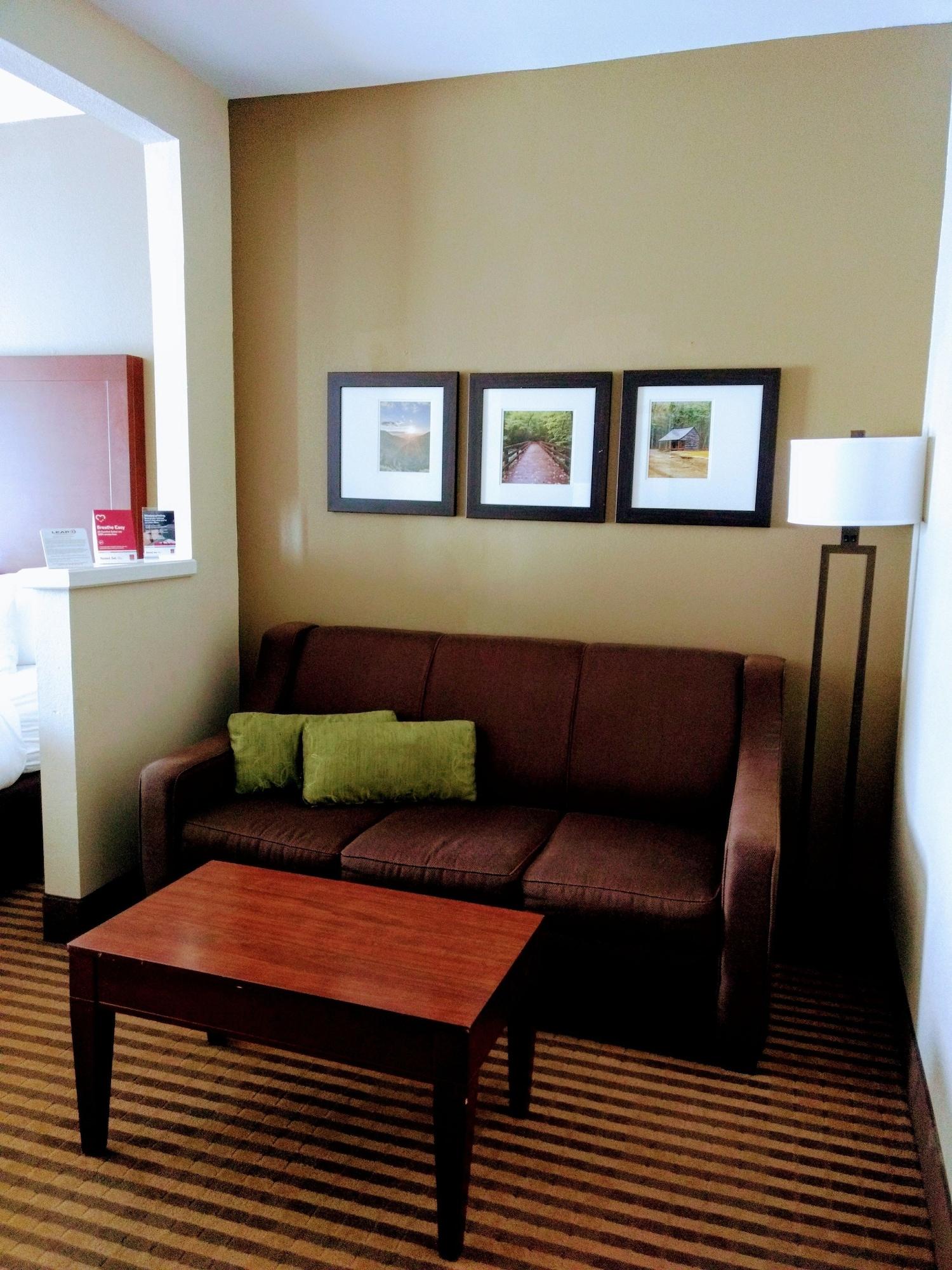 Comfort Suites Johnson City Near University Exterior foto